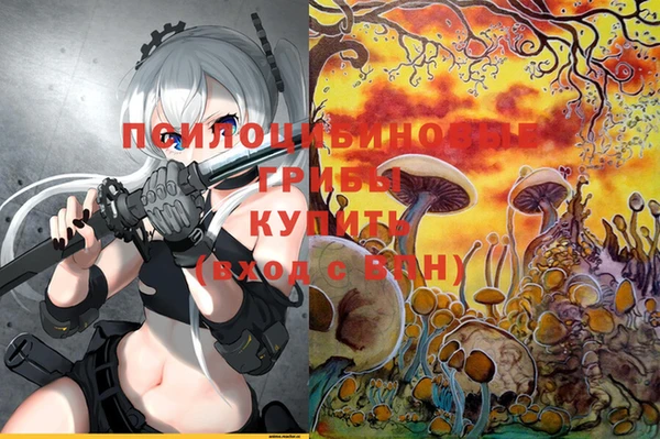 амф Вязники