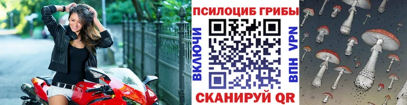 даркнет наркотические препараты купить цена Красногорск Псилоцибиновые грибы мицелий